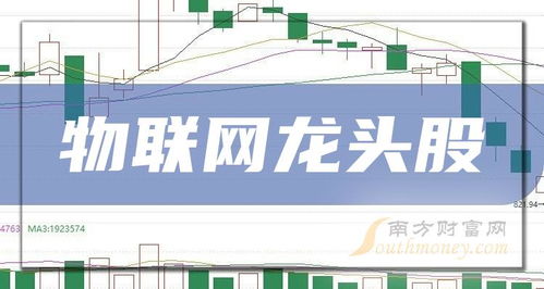 物聯(lián)網(wǎng)龍頭股與信息系統(tǒng)運行維護服務 創(chuàng)新與韌性的雙重奏